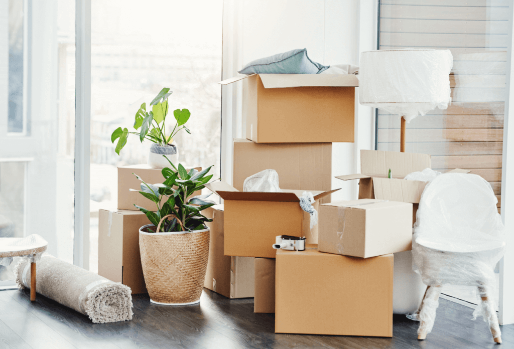 A picture of items in boxes and houseplants sitting on those boxes.