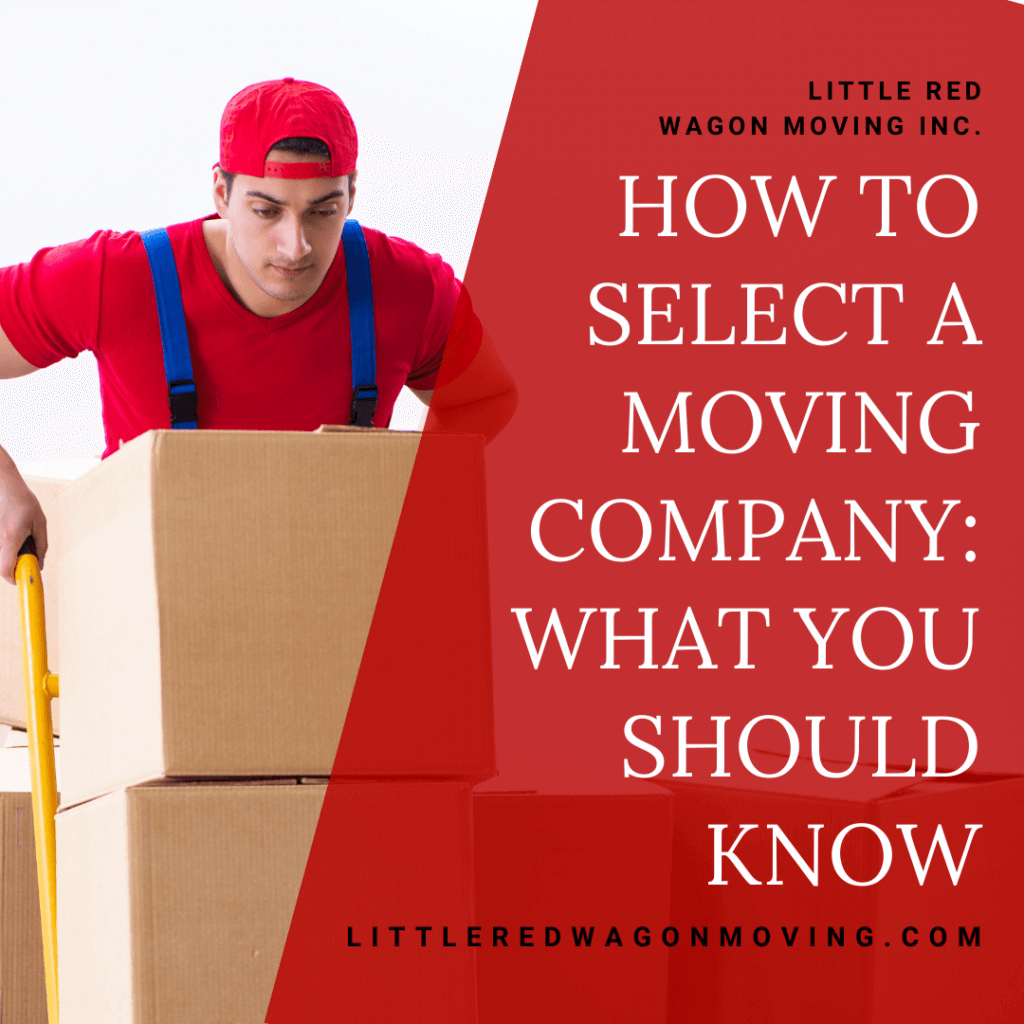 The graphic features a picture of a mover moving boxes with a white title toward the right side of the image that reads, "How to Select a Moving Company: What You Should Know".
